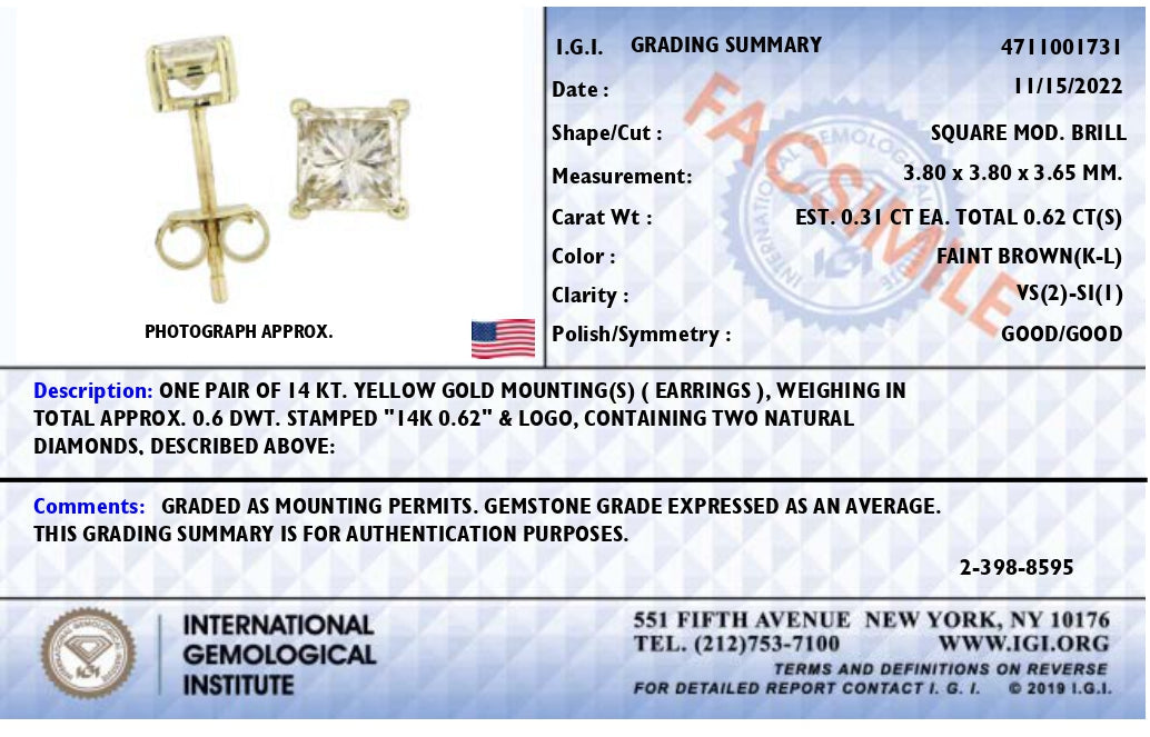 Pendientes de Stud de Diamante Natural Marrón Princesa de Oro Amarillo de 14K