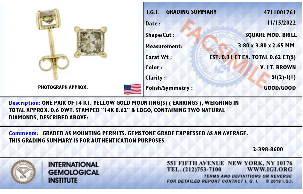 Pendientes de Stud de Diamante Natural Marrón Princesa de Oro Amarillo de 14K