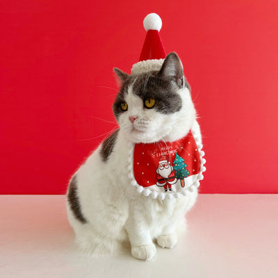 Festive Pet Costume Set for Christmas Celebrations