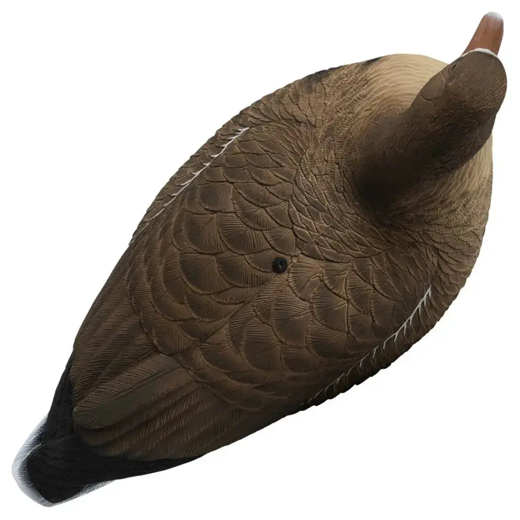 Ultimate Rugged Series Full Body Specklebelly Goose Decoys - 6 Pack - Korvel