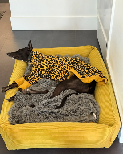 Sunny Yellow Luxe Corduroy Dog Sleeper Bed