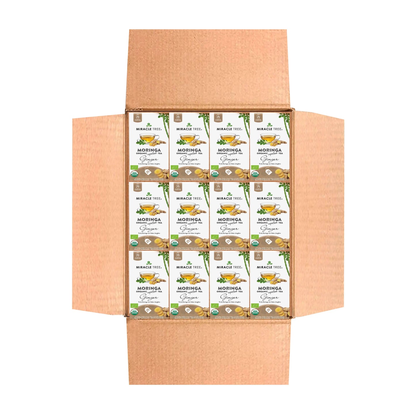 Thé Moringa Bio avec Gingembre - 25 Sachets de Thé Emballés