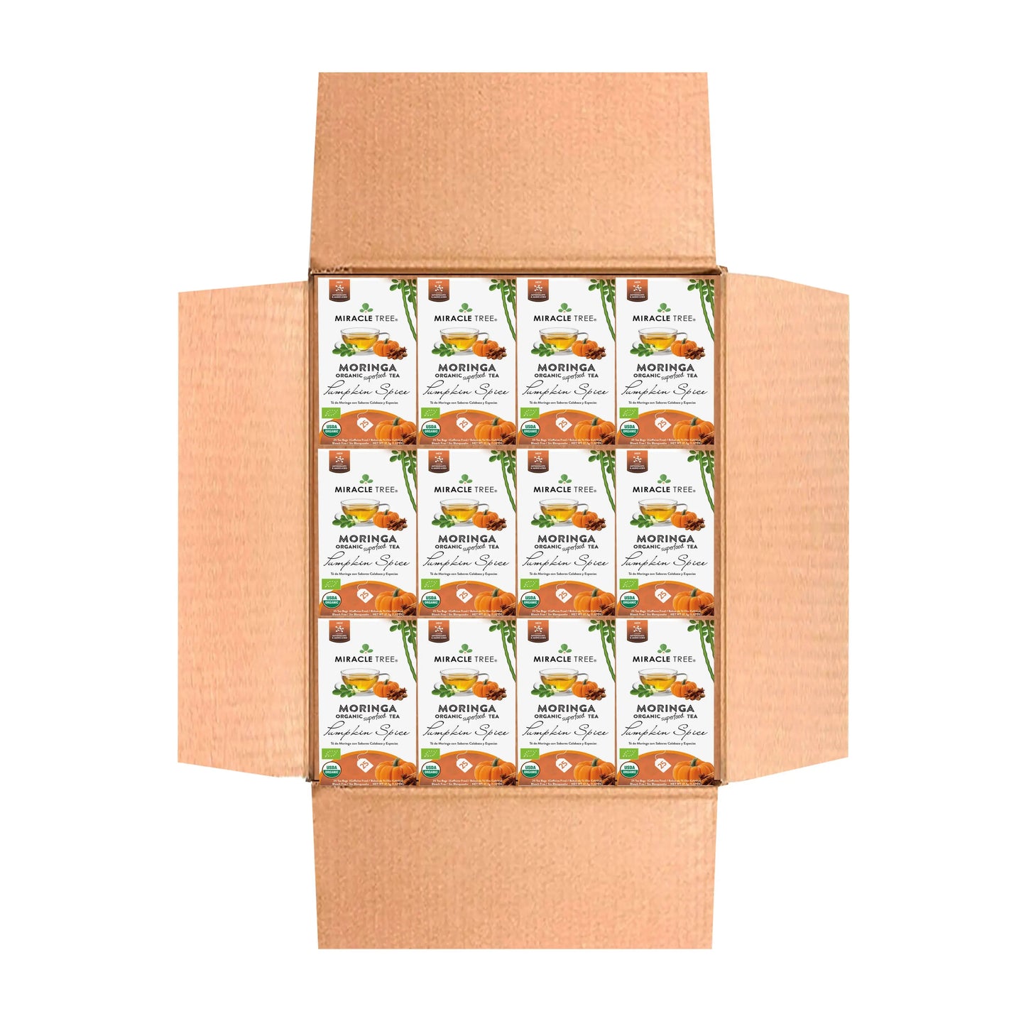 Thé Moringa Bio avec Épices de Citrouille