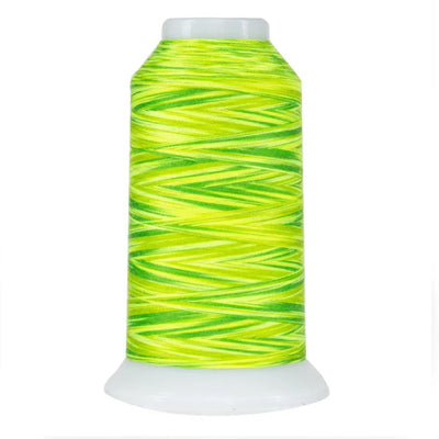 Hilo de poliéster variegado Fresh Lime Omni
