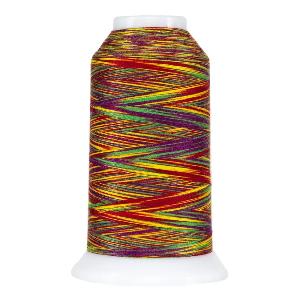 Fil en polyester variegé Circus Omni