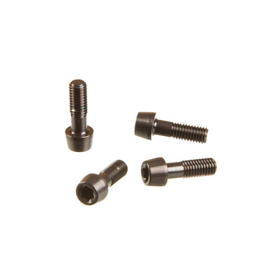 SRAM Faceplate and Bolt Kit for SL Speed B1