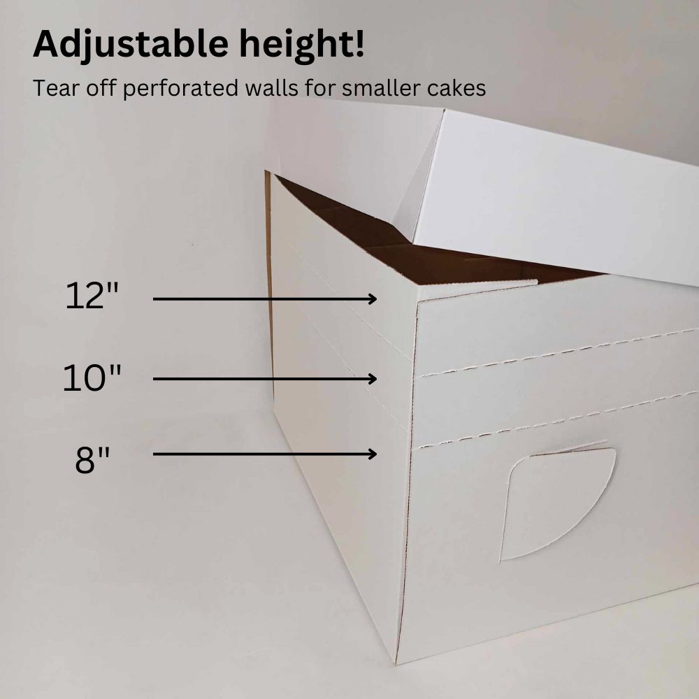 Adjustable Cake Transportation Box - 10" x 10" x 12" - Set of 3