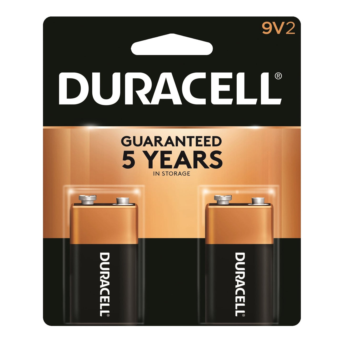 Duracell Coppertop 9V Batteries - 2 Pack Alkaline Power