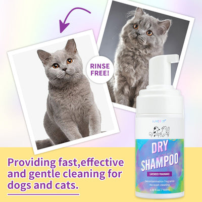 Cat Dry Shampoo Bubbles - No-Rinse Deodorizing Formula