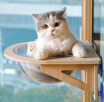 Solid Wood Cat Nest with Suction Cup Climbing Frame