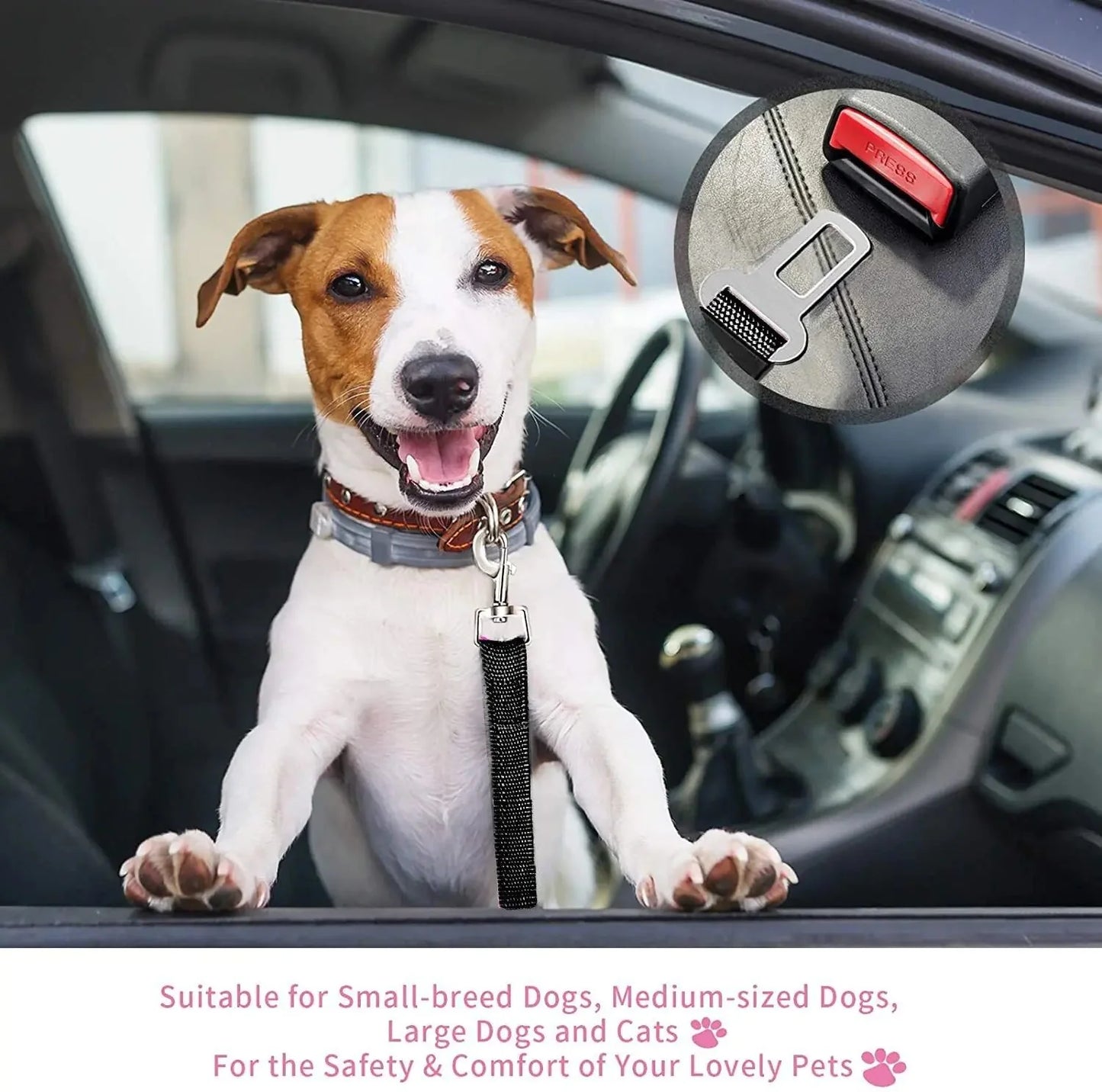 Ceinture de sécurité pour animaux ajustable - Pack de 2 pour chats et chiens
