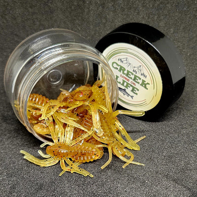 Jar of 1" Micro Spider Bait "The Writing Spider" - Korvel