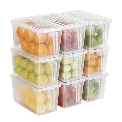 Premium Food Storage Boxes with Lids and Handle - 2 Pack