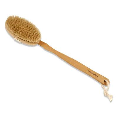 The Sponge Company Long Handle Body Brush