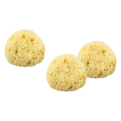 The Sponge Company Sea-Silk Cosmetic Sponge #3 - 1PC