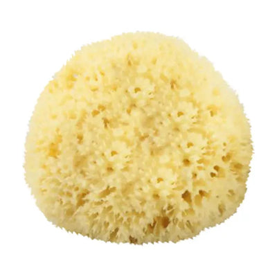 The Sponge Company - Natural Bathing Sea Sponge #3 Large