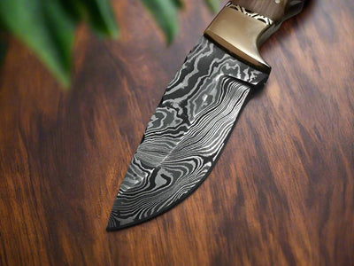 Premium Handmade Damascus Steel Deer Skinning Knife with Olivewood Handle - 8.5-inch - Korvel
