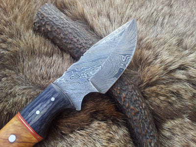 Premium Damascus Steel Deer Skinning Knife – 7 Inch Drop Point with Olivewood Grip - Korvel