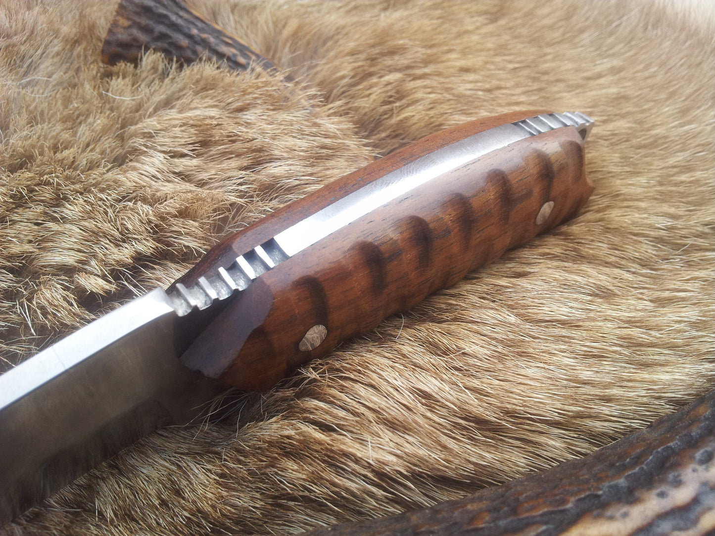 Premium Carbon Steel Tanto Blade Knife - Korvel