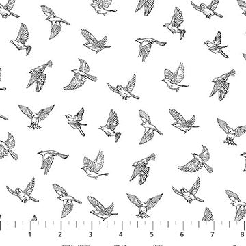 Nature's Sketchbook Cotton Fabric - White/Black 44"/45" Per Yard