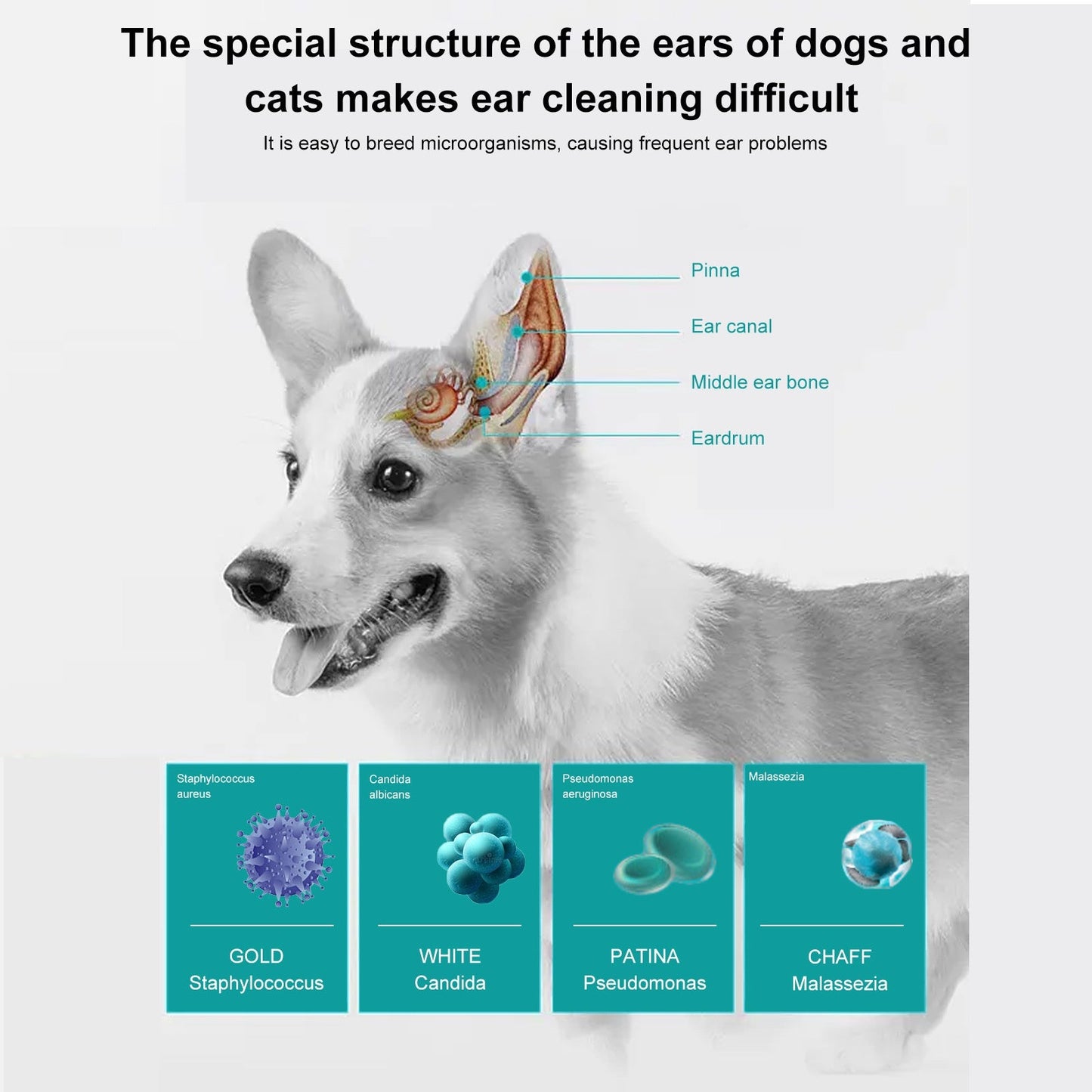 Premium Pet Ear Cleaning Oil for Cats and Dogs - 30ml