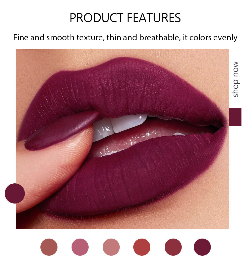 HANDAIYAN Coffret de Rouge à Lèvres Mat - 6 Teintes Premium