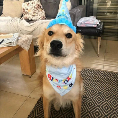 2Pcs/Set Dog Hat Bib Dog Birthday Bandana Scarf Adjustable Bandana Neckerchief Cat Dog Birthday Bib Hat Pet Supplies - Korvel