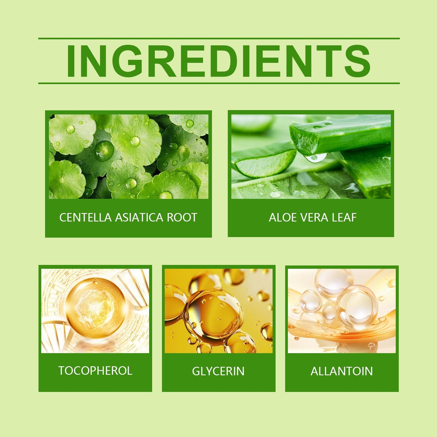 Herbal Skin Care Cream for Nourishing Hands and Feet