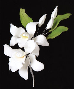 Elegant White Cymbidium Orchid Spray - 2 Pieces