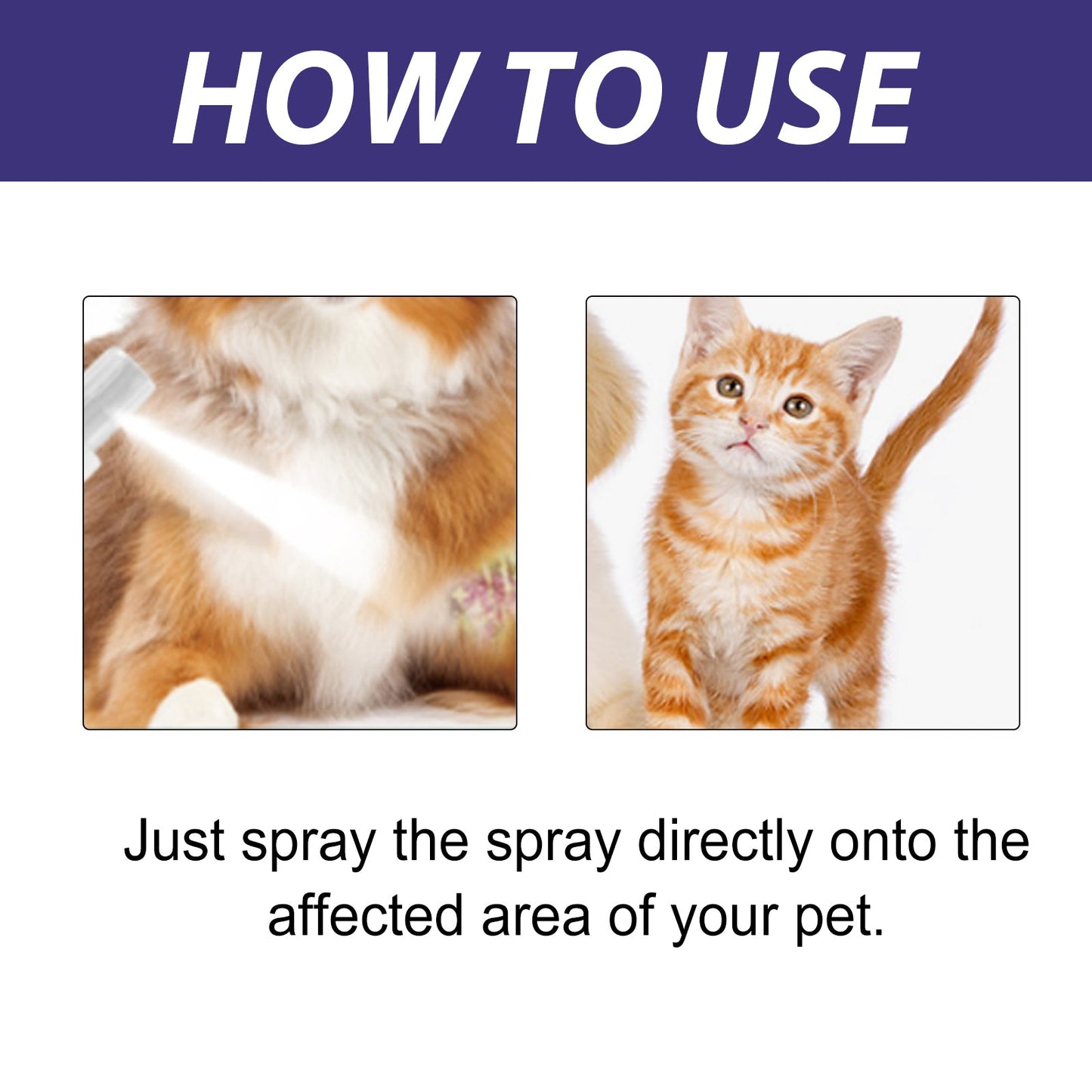 Spray de soins pour animaux de compagnie premium pour l'entretien de la peau et du pelage