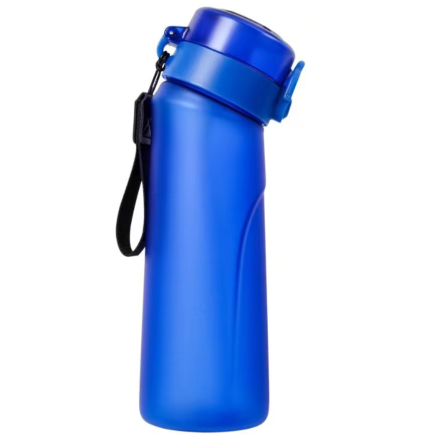 Stylish 650ml Frosted Water Bottle