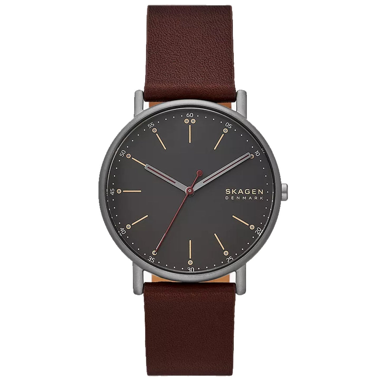 Montre Signatur pour homme Skagen