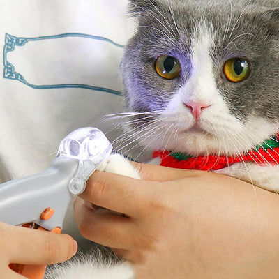 Professional LED - lit pet nail clippers for cats and dogs. Toe - claw cutting tool, pet supplies. - Korvel