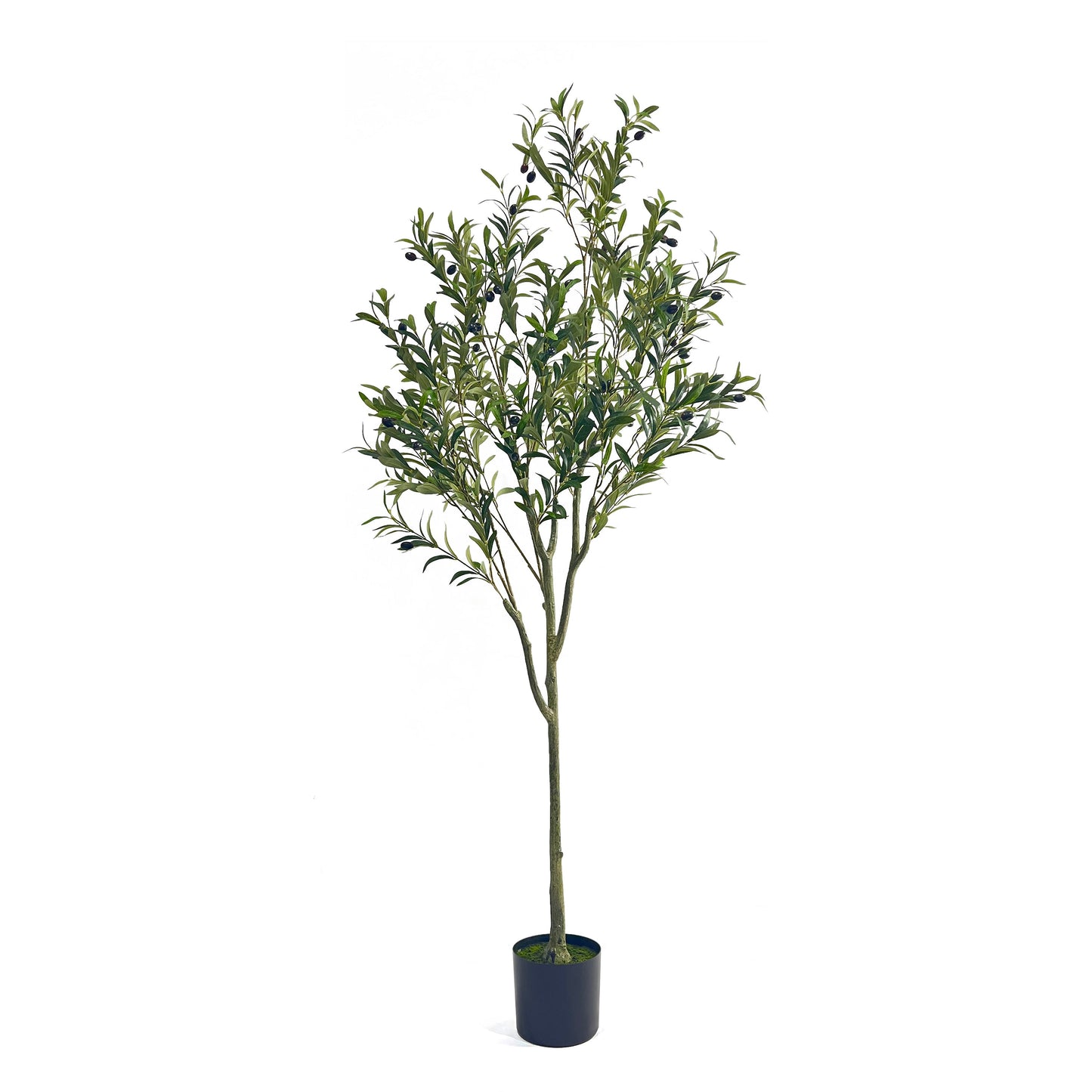 180CM ARTIFICIAL OLIVE TREE - Korvel
