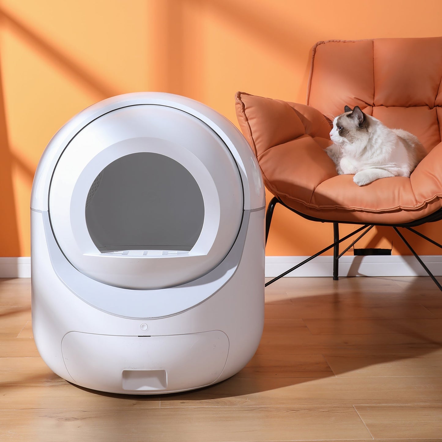 Intelligent cat litter box, automatically eliminates odors, application control, supports multiple cats with 5G and 2.4G WiFi - Korvel