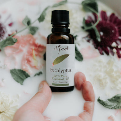 Difeel 100% Pure Eucalyptus Essential Oil - 1 Ounce