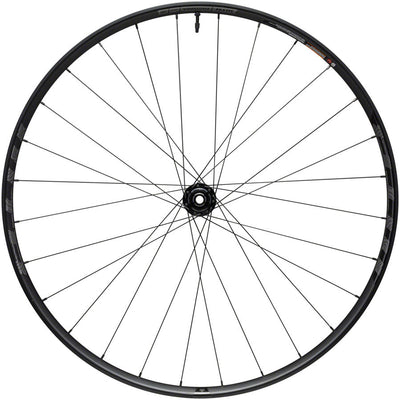 WTB Proterra Light i25 Front Wheel - 700c 12 x 100mm Center-Lock Black 28H