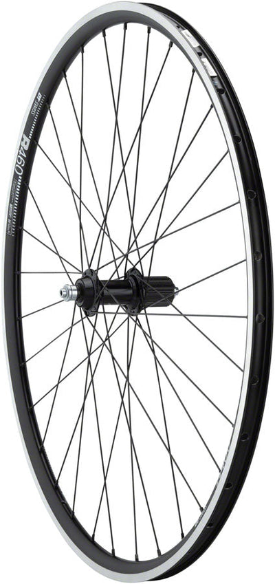 Rueda Trasera Shimano 105/R460 de Calidad - Clincher 700c, 32H