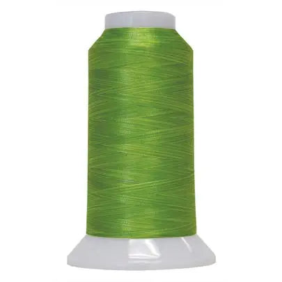 Hilo de poliéster variegado Lime Light Fantastico