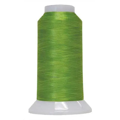 Lime Light Fantastico Variegated Polyester Thread