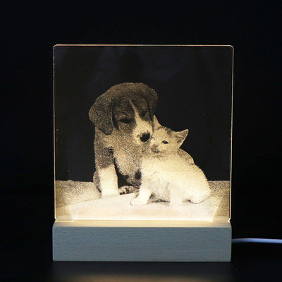 3D Image Internal Carving Laser Acrylic Bedhead Nightlight Plug in - Korvel