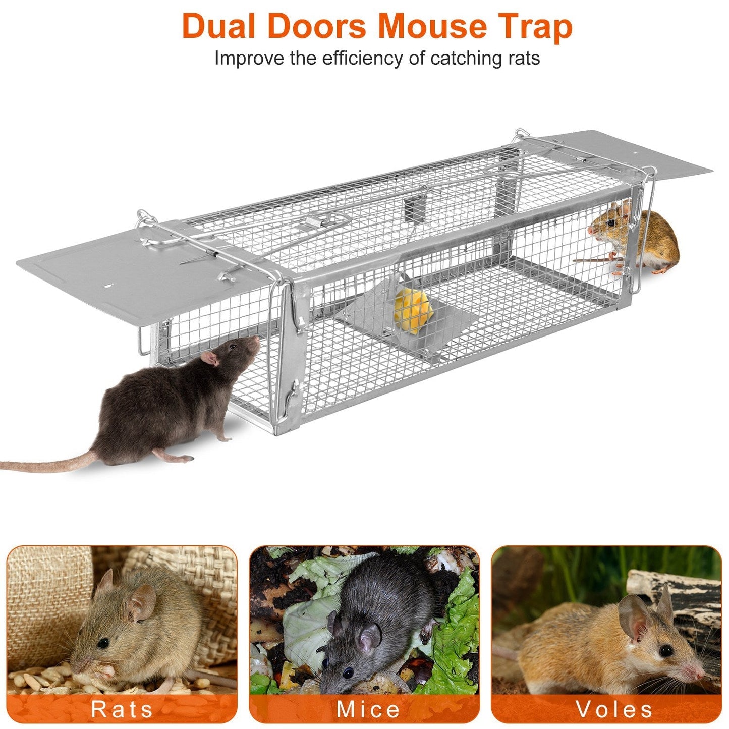 Trampa Humana para Ratas de Doble Puerta GBruno