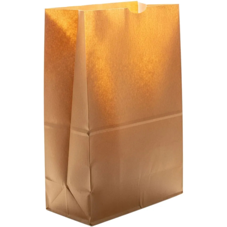 Saco de Papel de Fondo Plano Leader 12x7x17 in. - 500 Contenido