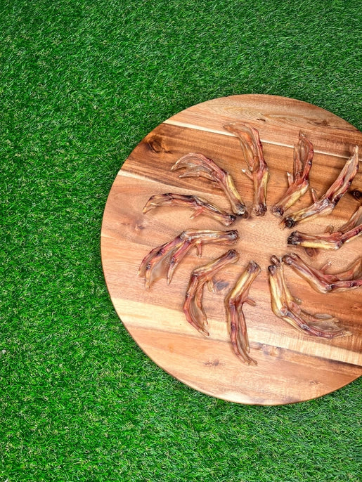 Dehydrated Duck Foot - 1 Count - Korvel