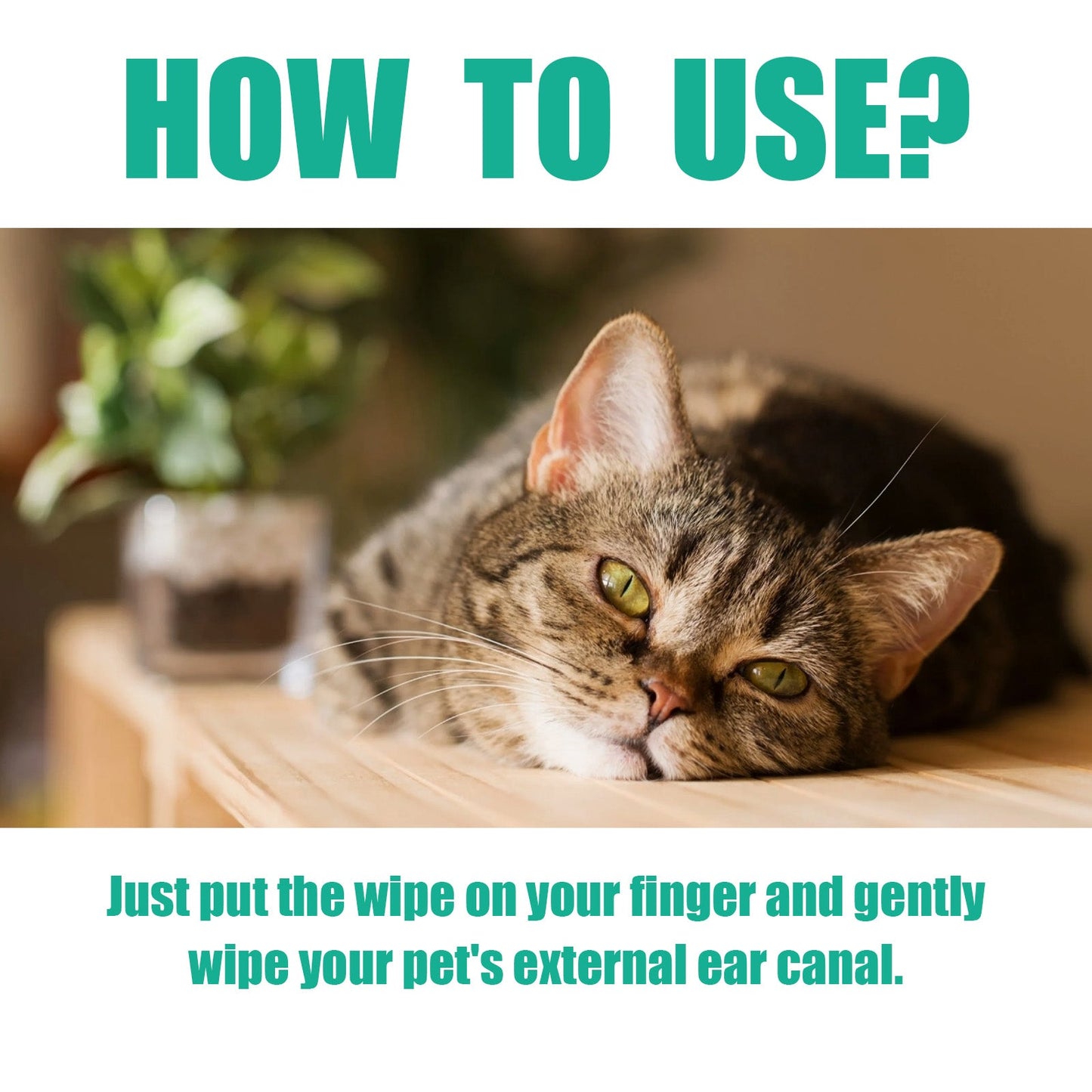 Lingettes de nettoyage pour oreilles de animaux de compagnie premium