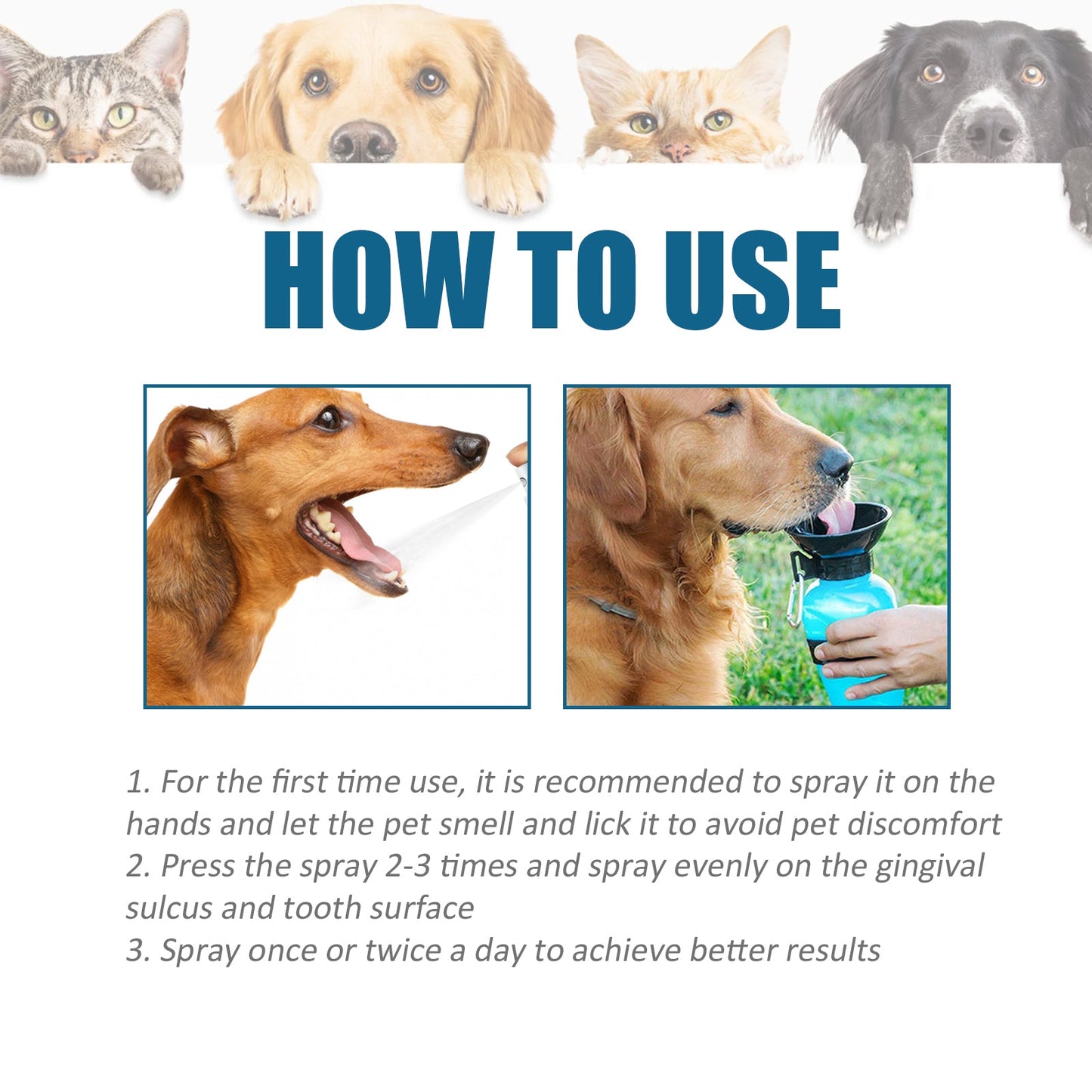 Pet Oral Cleaning Spray, Cats And Dogs Remove Tartar And Bad Breath Fresh Mouth Care Spray - Korvel