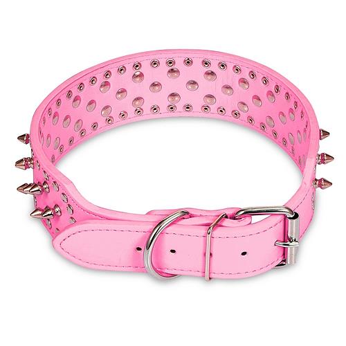GBruno Premium Spiked Leather Dog Collar