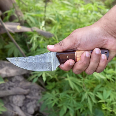 Premium Damascus Skinning Knife with Elegant Rosewood and Olive Wood Handle - Korvel