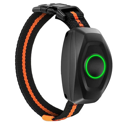 Collar de Entrenamiento para Perros Impermeable GBruno