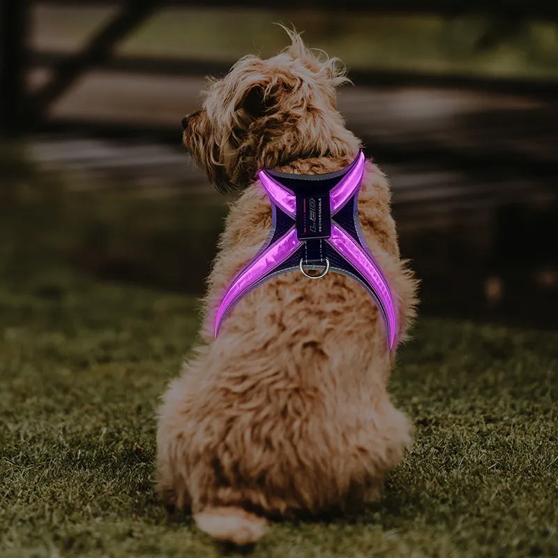 Pet supplies: explosion - proof, flushable, 8 - gear, color - changing LED, chest braces, clothes and collars with traction. - Korvel